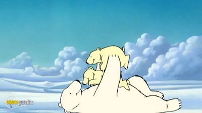 The Last Polar Bears