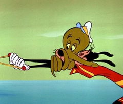 Aquamania (1961)