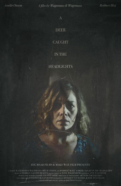 A Deer Caught in the Headlights