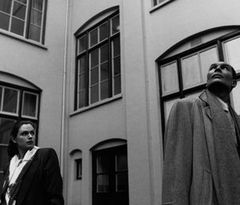 Het Phoenix mysterie (1990)