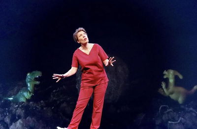 Paulien Cornelisse - Aanstalten