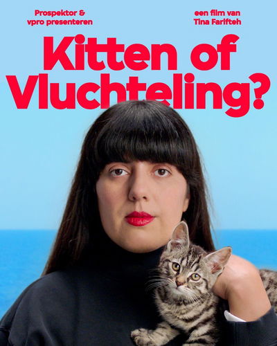 Kitten of vluchteling?