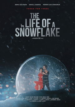 Bir Kar Tanesinin Ömrü (2022)