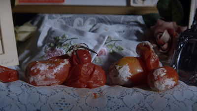 A tomato tragedy
