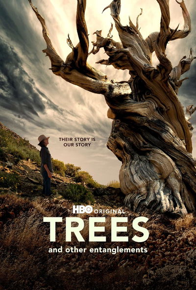 Trees, and Other Entanglements