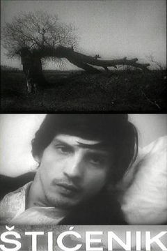 Sticenik (1973)