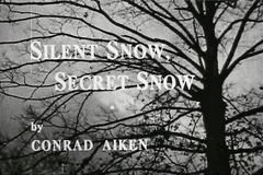 Silent Snow, Secret Snow (1964)