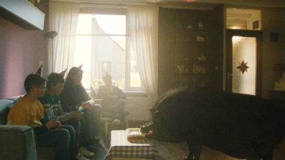 Nelson het minivarken