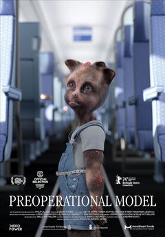 Preoperational Model (2024)