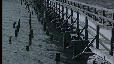 Electronics in the World of Tomorrow