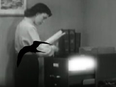 Wandering Through Secret Storms (2009)