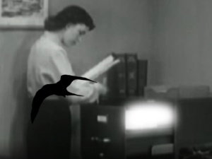 Wandering Through Secret Storms