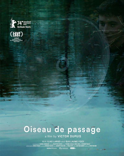 Oiseau de passage
