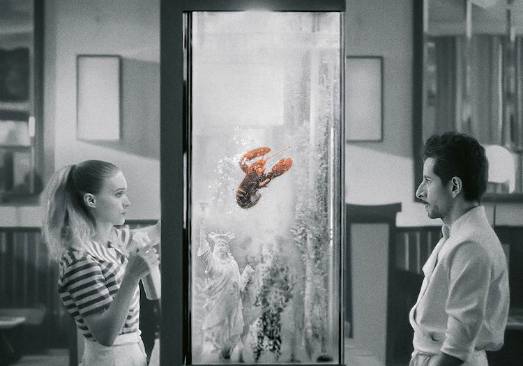 Nieuw op Film1 (20+ films)