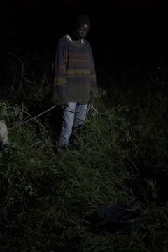 As Noites Ainda Cheiram a Pólvora (2024)