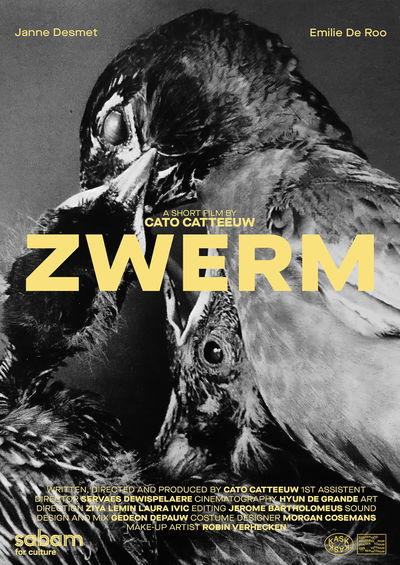 Zwerm