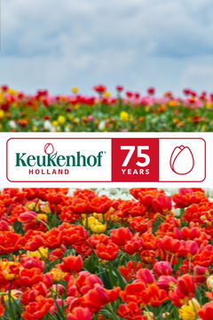 75 Jaar Keukenhof