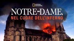 Notre dame, nel cuore dell'inferno (2019)