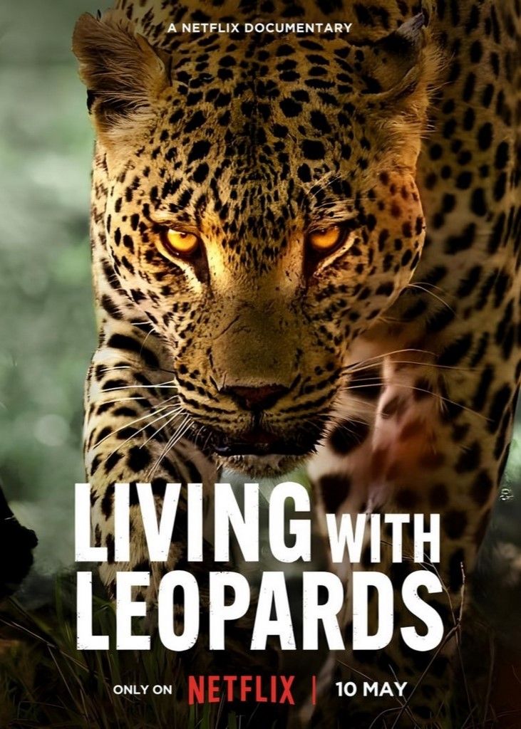 Living with Leopards (film, 2024) FilmVandaag.nl