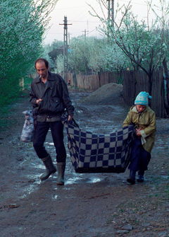 Lampa cu căciulă (2006)
