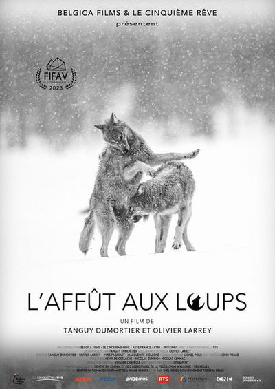 L'affût aux loups