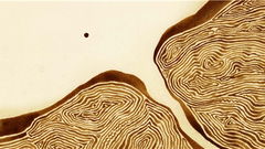 The Aroma of Tea (2006)