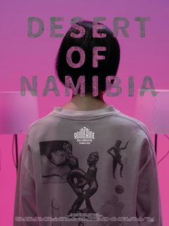 Desert of Namibia (2024)