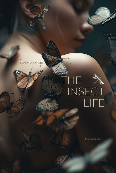 The Insect Life