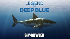 Legend of Deep Blue (2019)