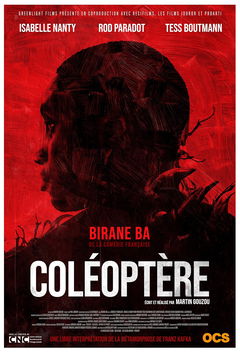 Coléoptère (2023)