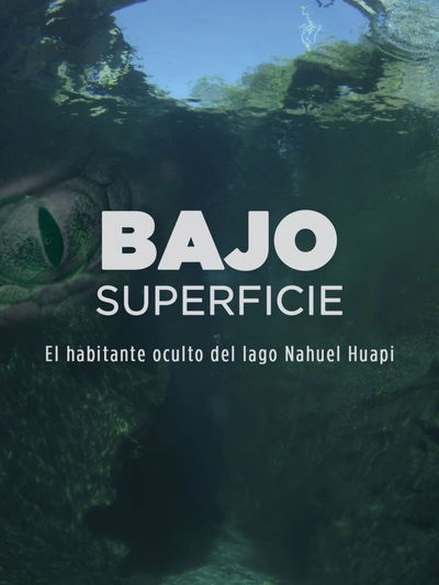 Bajo Superficie
