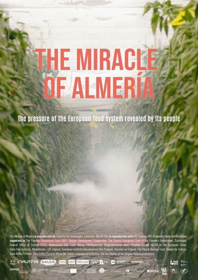 The Miracle of Almería