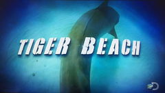 Tiger Beach (2016)