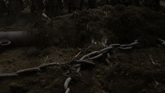 Landshaft (2023)