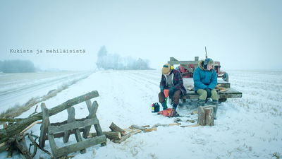 About the Birds and the Bees