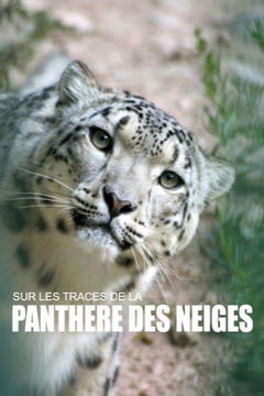 Sur les traces de la panthère des neiges (2019)
