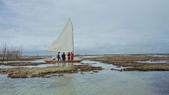 Northern Winds (2024)