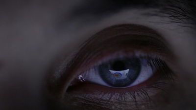 A Dialogue with Cyberspace