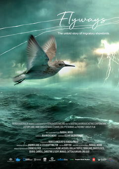 Flyways: the untold journey of migratory shorebirds (2023)