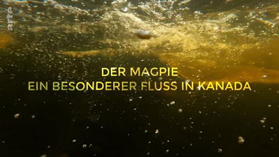 Der Magpie - Ein besonderer Fluss in Kanada