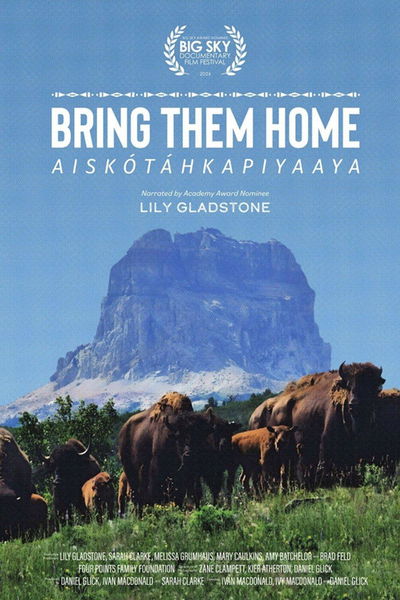 Buffalo Stone