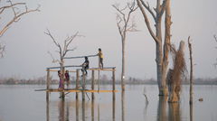 Until the Orchid Blooms (2024)