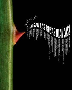 White Roses Fall! (2025)