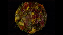 Wasteland No. 3: Moons, Sons (2021)