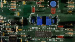 Wasteland No.1 - Ardent, Verdant (2017)