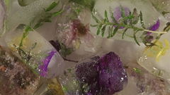 Wasteland No. 2: Hardy, Hearty (2019)