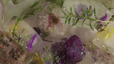 Wasteland No. 2: Hardy, Hearty