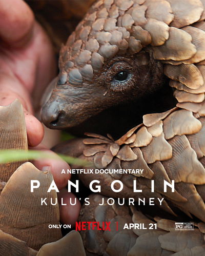 Pangolin: Kulu's Journey