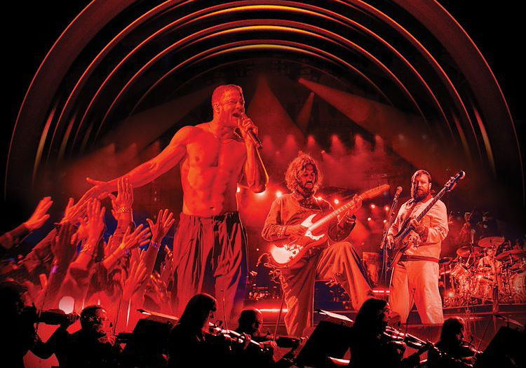 Beste Muziekfilms 2025 op NPO Start &amp; Plus (maart 2026)