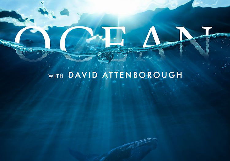 Beste Documentaires 2025 (films in het genre documentaire)